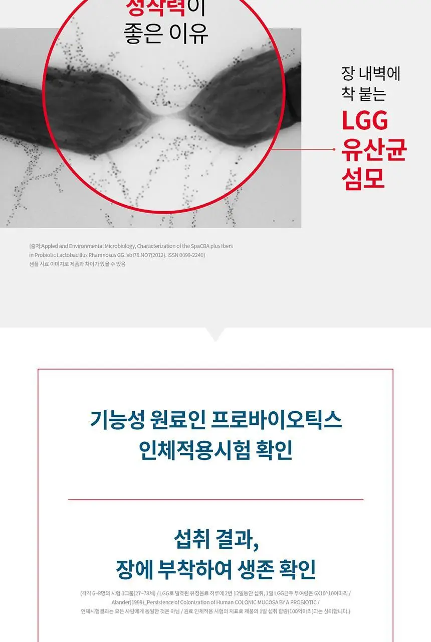 [포켓몬 에디션] 덴마크 유산균이야기 30캡슐 1+1기획 (+꼬부기 러기지택 증정) (60일분) 상세페이지 17